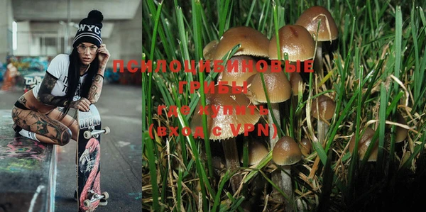 PSILOCYBIN Ханты-Мансийск