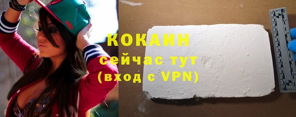 сатива Чегем