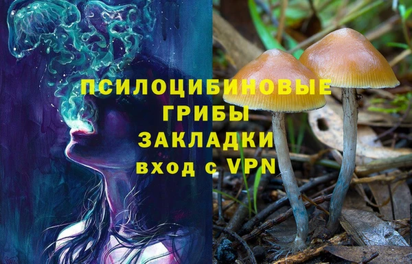 кокаин колумбия Чекалин
