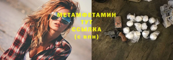 сатива Чегем