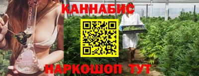 гашик Донецк