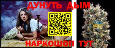 гашик Донецк