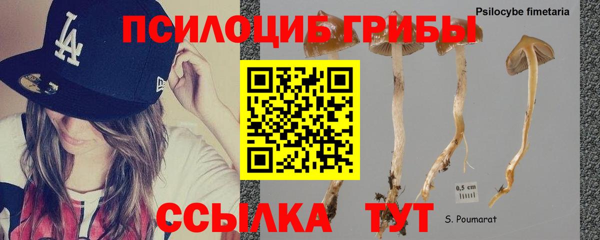 Галлюциногенные грибы ЛСД  Вход с VPN  Галлюциногенные грибы Psilocybe  Новочеркасск 