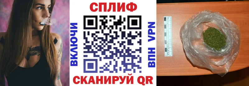 где можно купить наркотик  Новочеркасск  Бошки марихуана конопля 