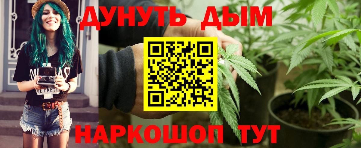 Конопля SATIVA & INDICA  Бошки Шишки ГИДРОПОН  МАРИХУАНА план  Новочеркасск  Вход с VPN 
